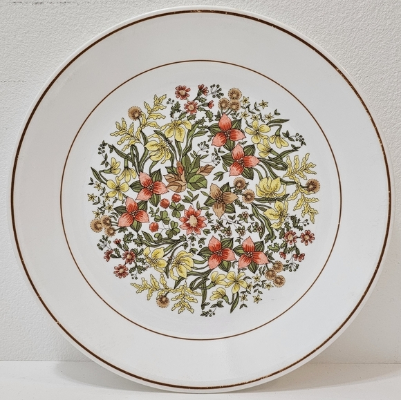 Vintage Corelle by CorningWare Indian Summer Dinner Plate Set of 2 - Picture 5 of 13